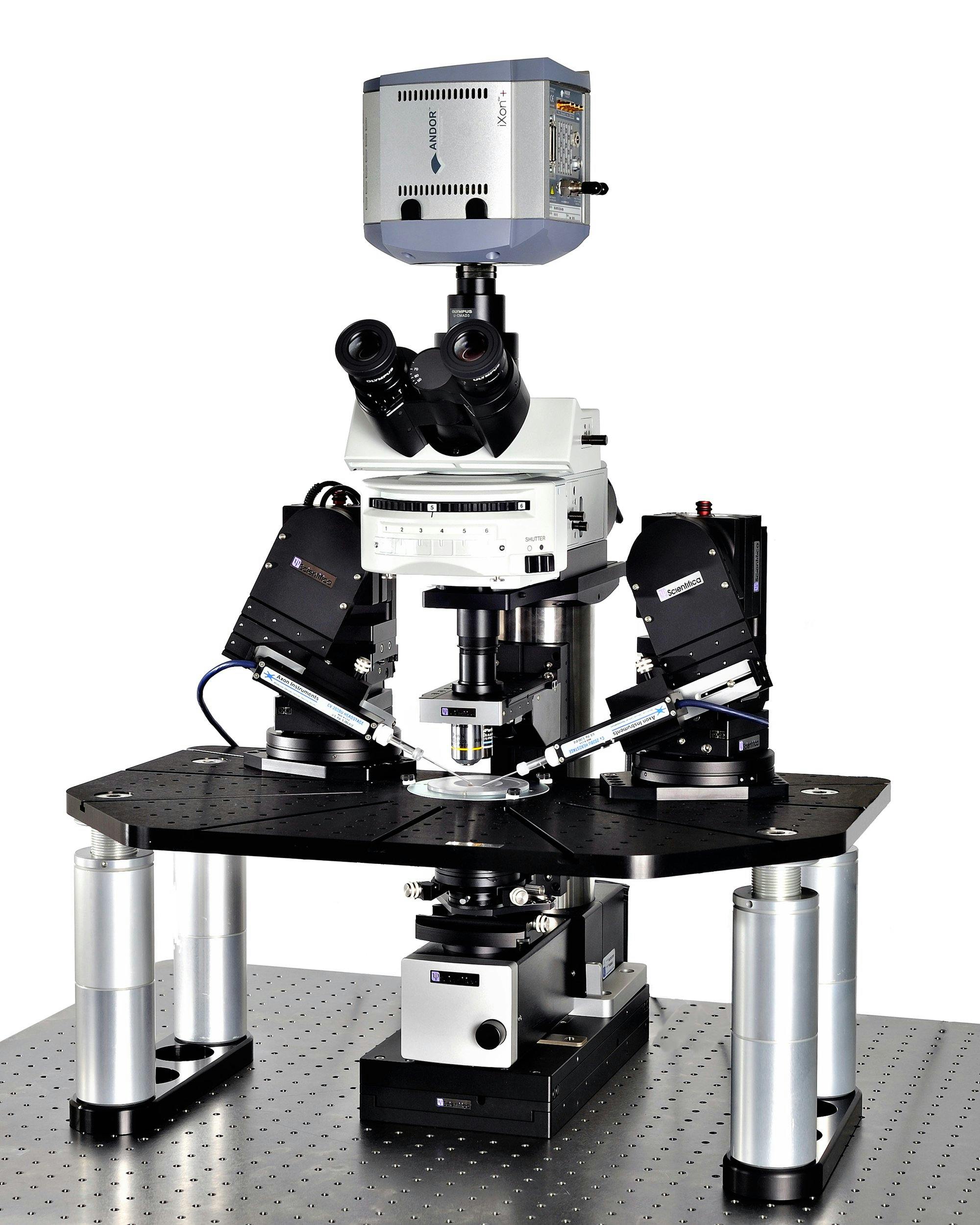 Integrated electrophysiology system for patch clamp recording