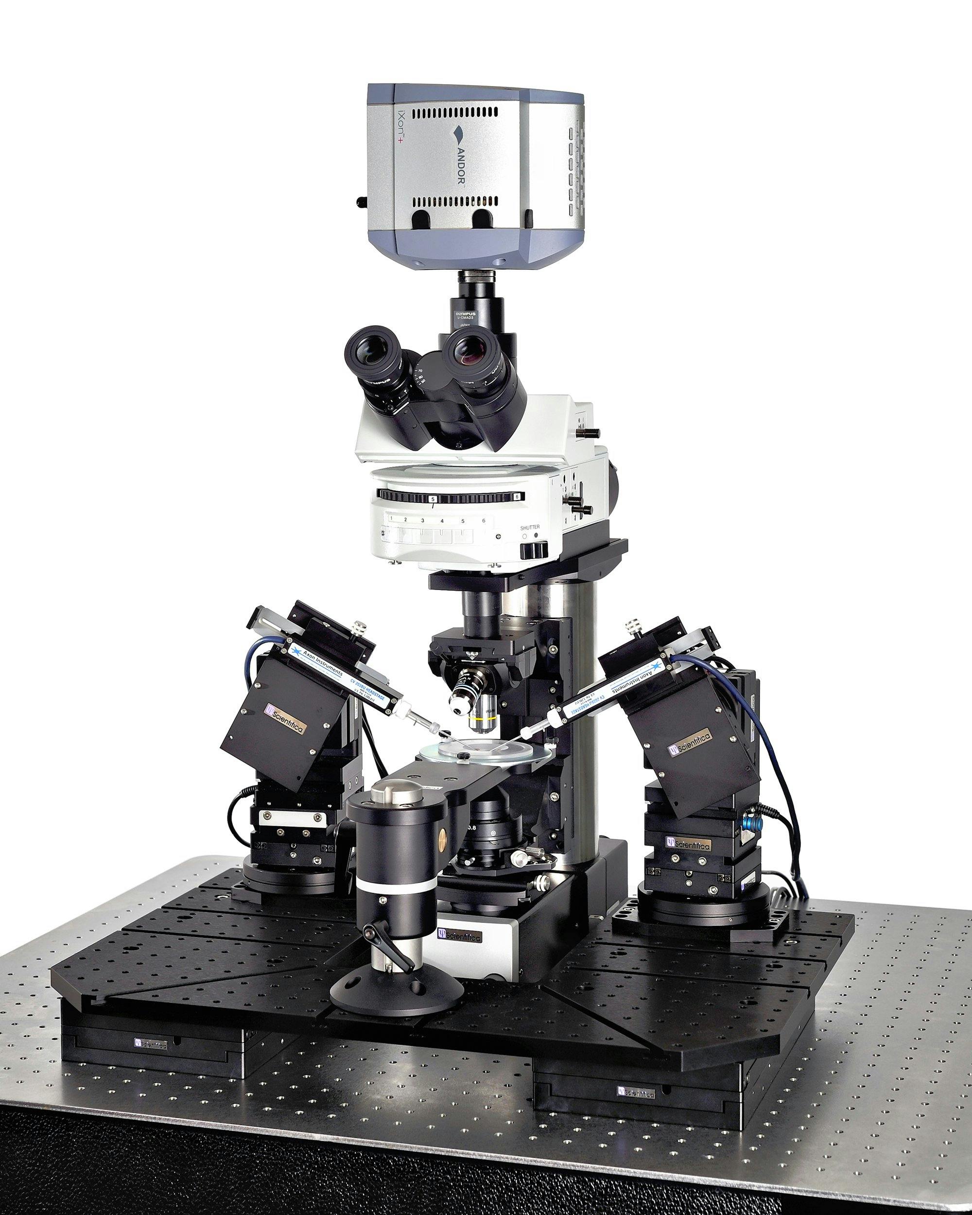 Patch clamp electrophysiology system