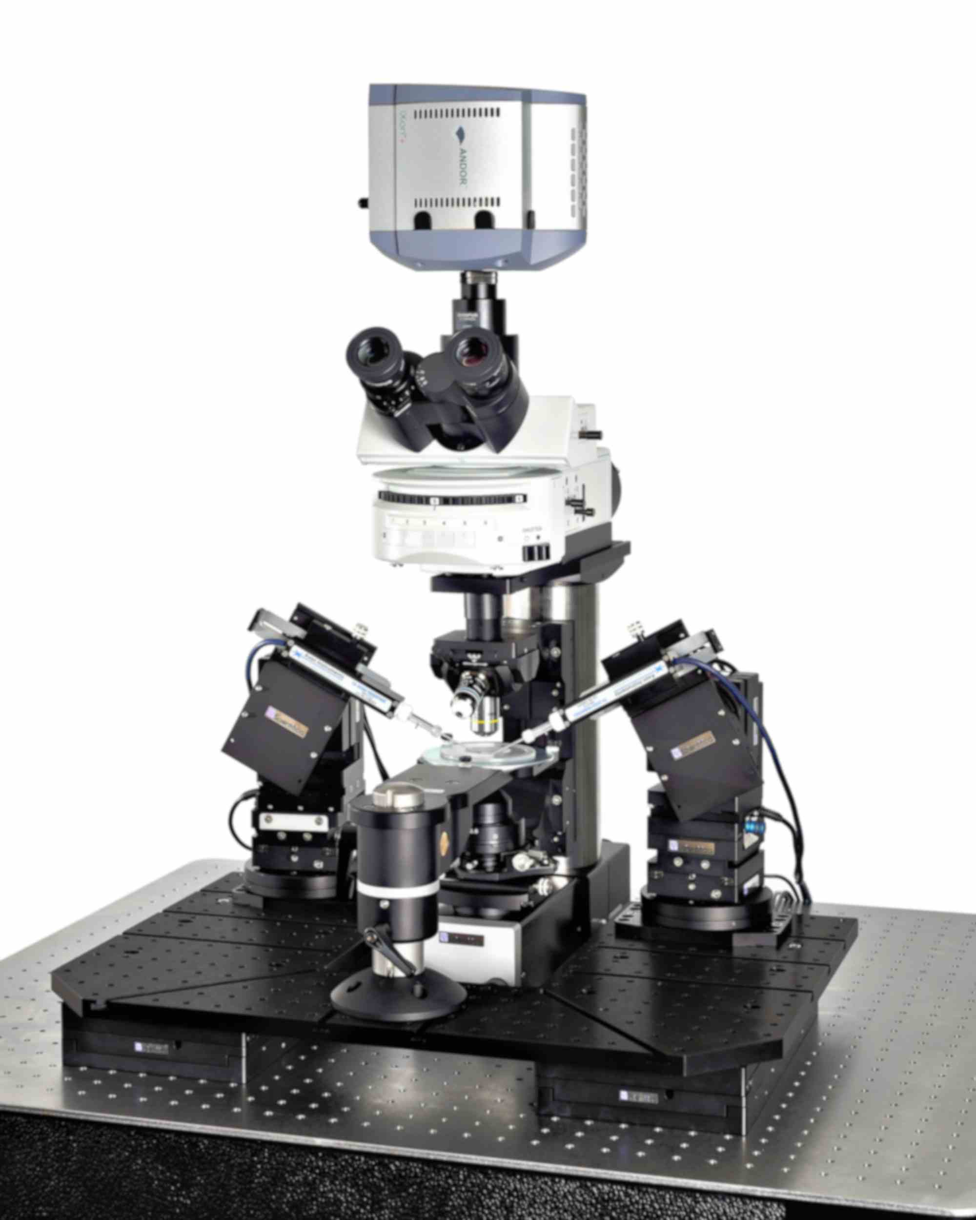 Scientifica SliceScope Pro 6000 1