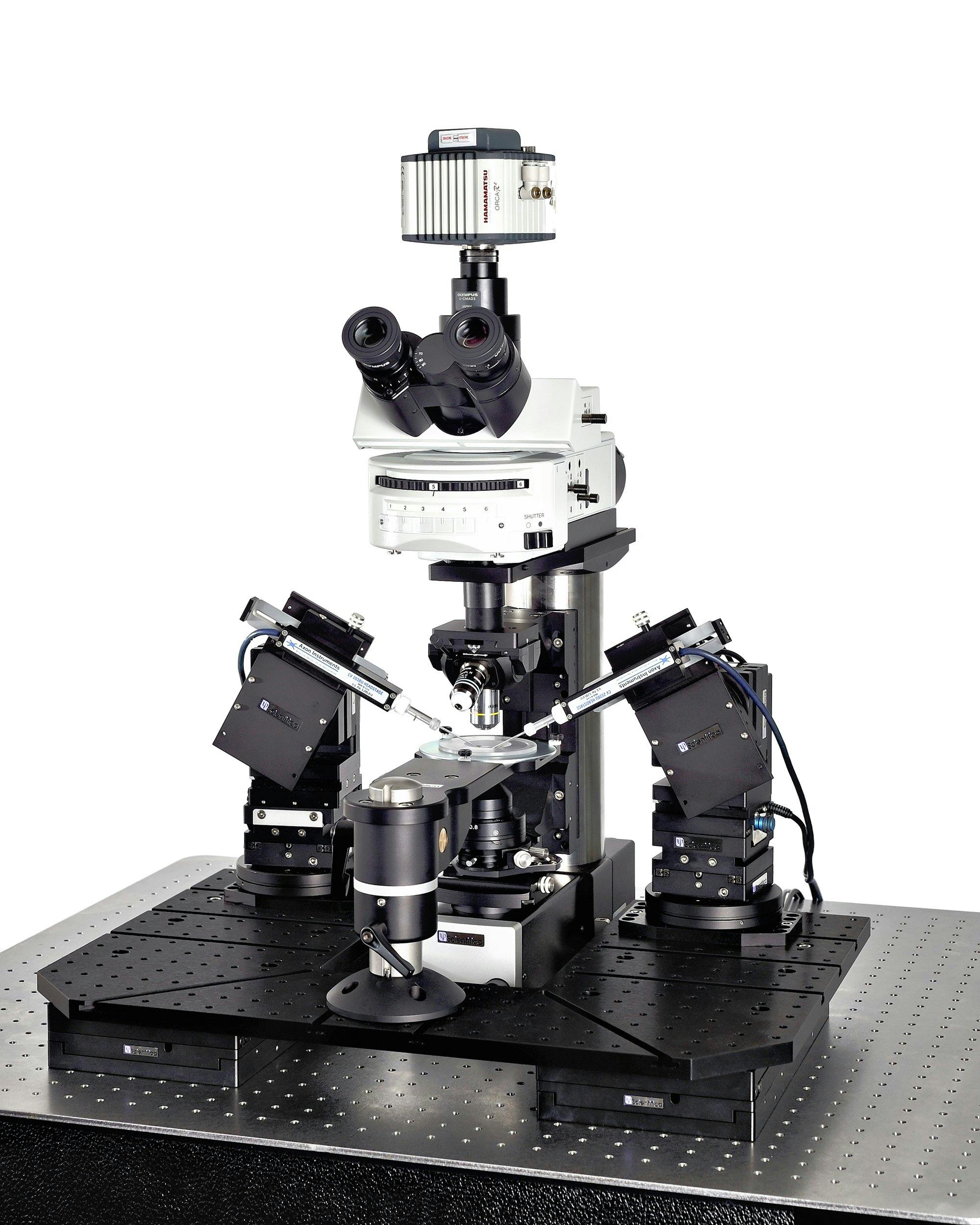 Patch clamp electrophysiology system
