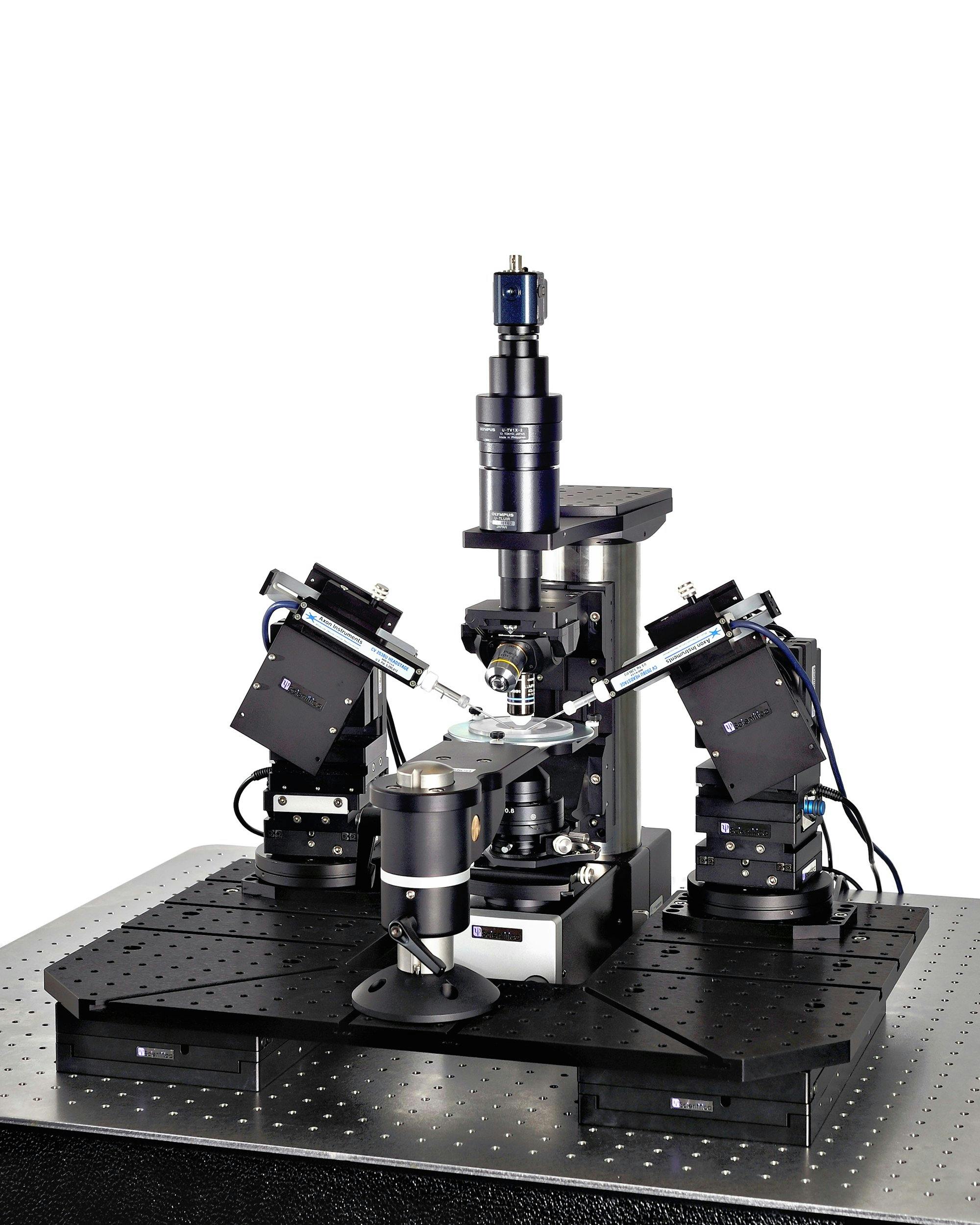Patch clamp electrophysiology system