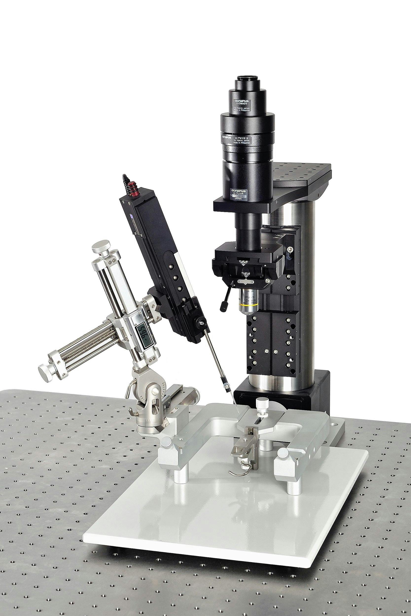 Electrophysiology manipulator