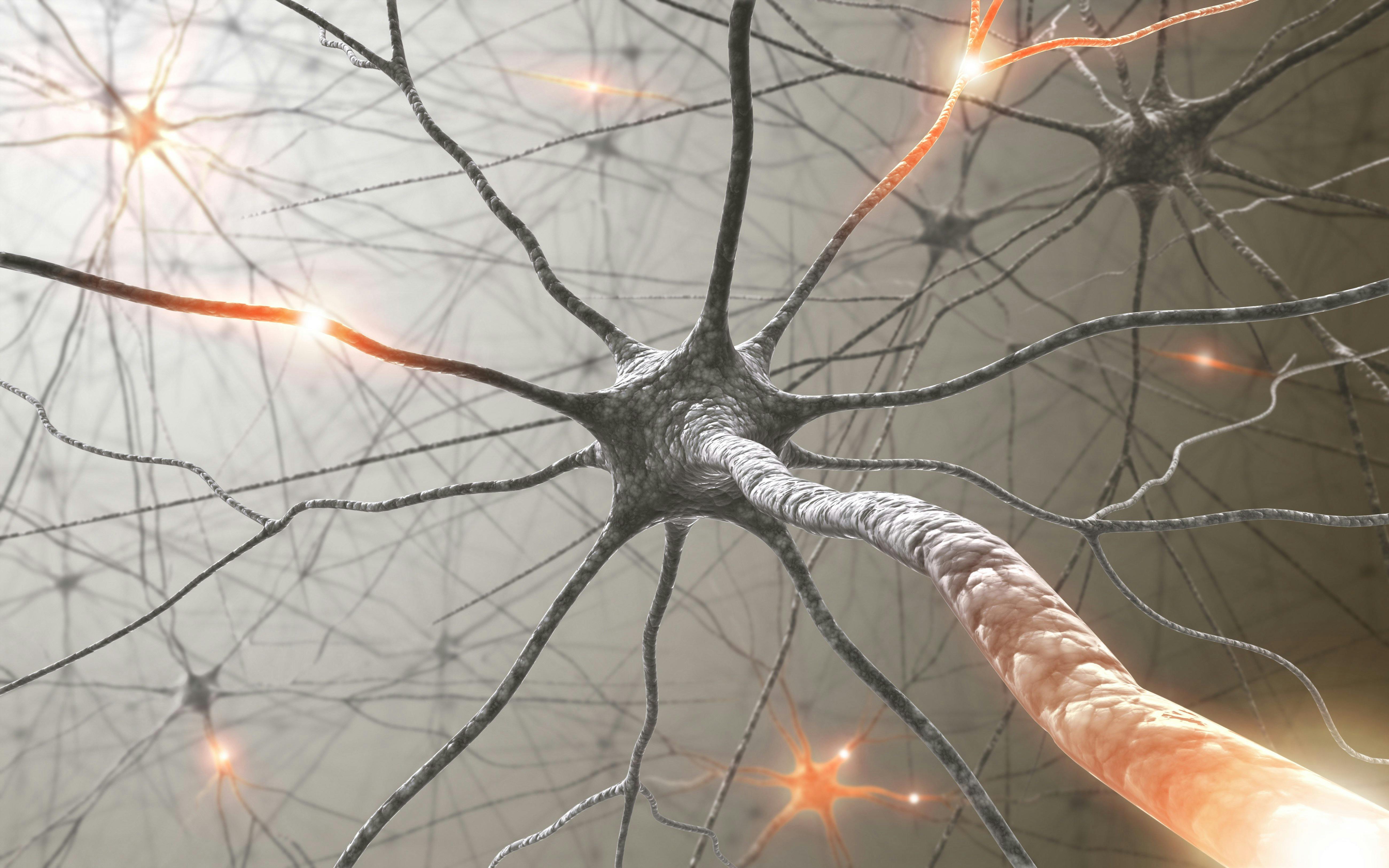 neurons and cells