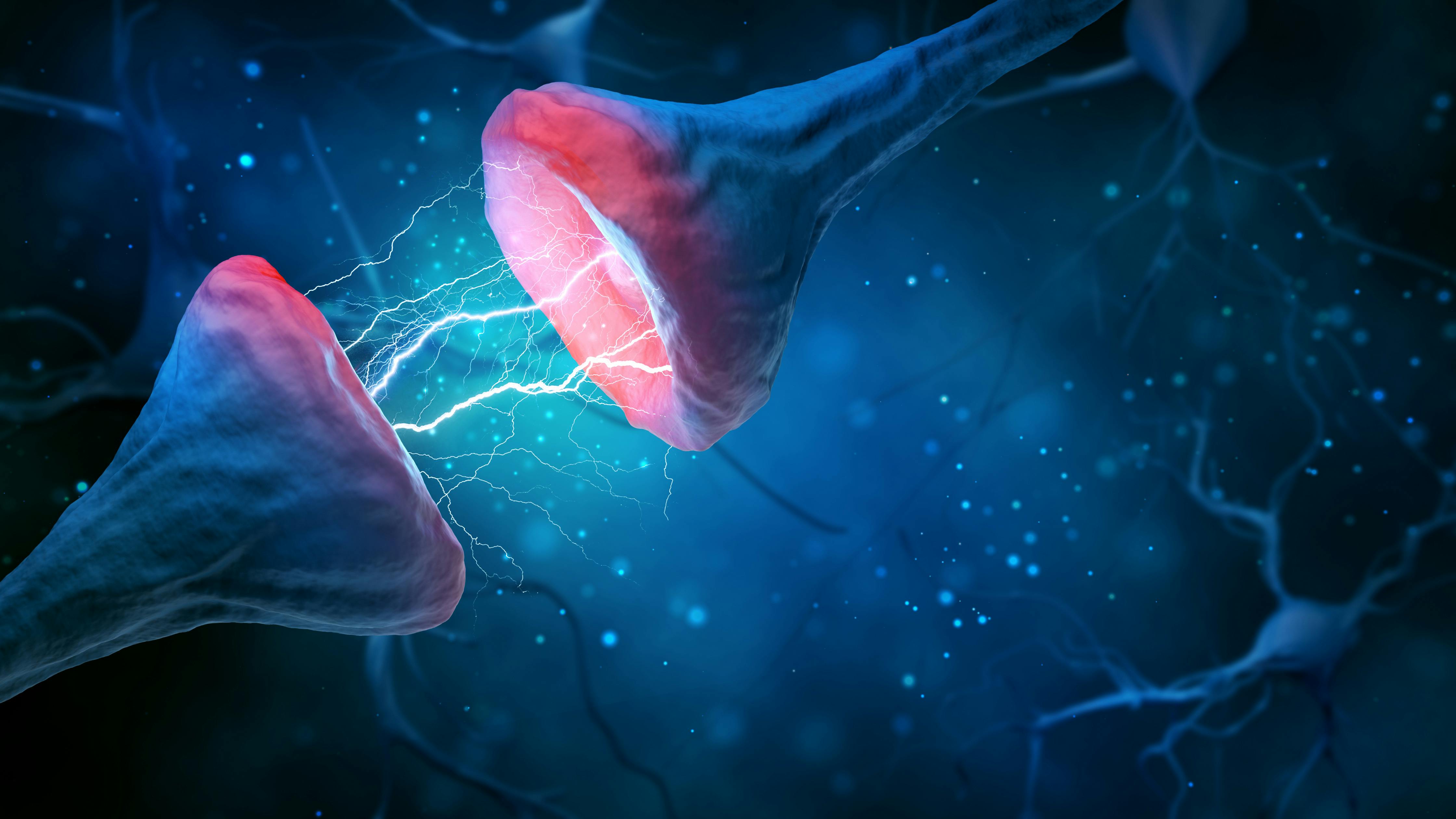 Synapse