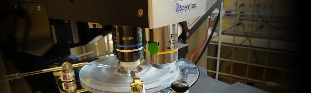 14 sharp tips for patch clamping