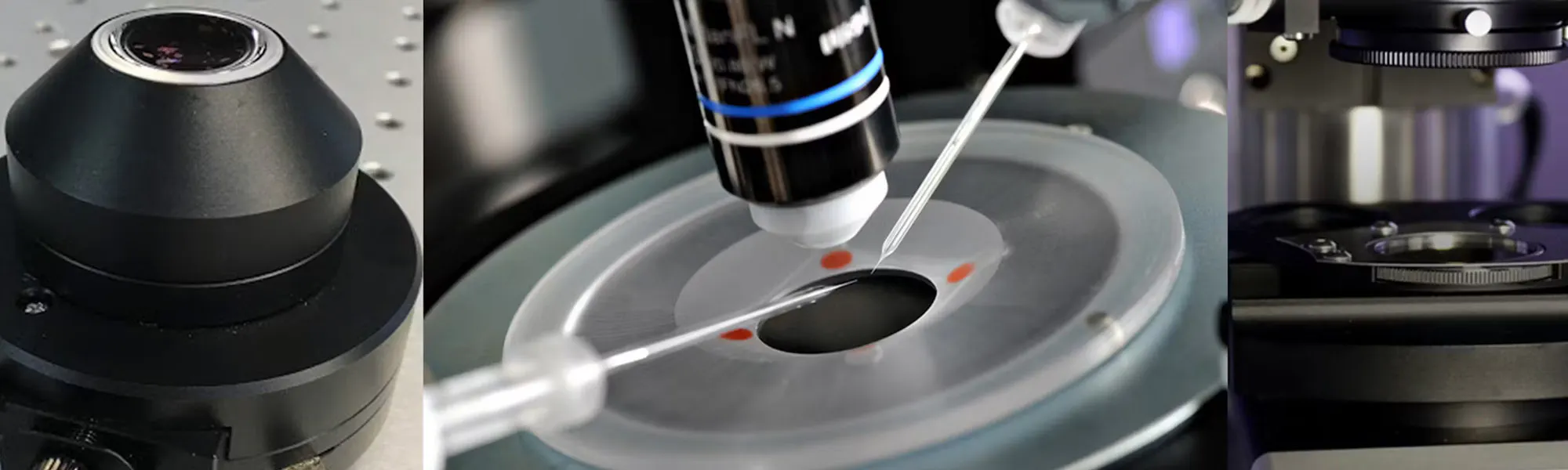 Choosing the right contrast technique for your experiment