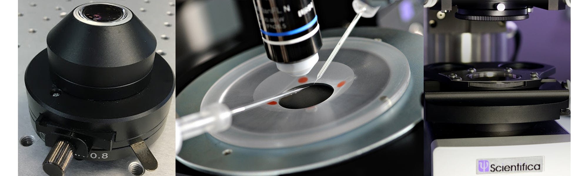 Choosing the right contrast technique for your experiment