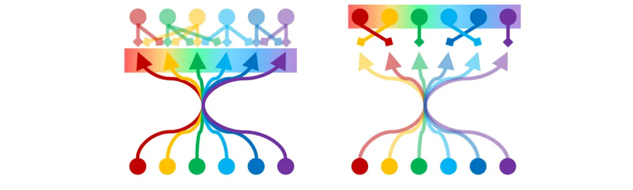 EMBL Case study with Scientifica HyperScope