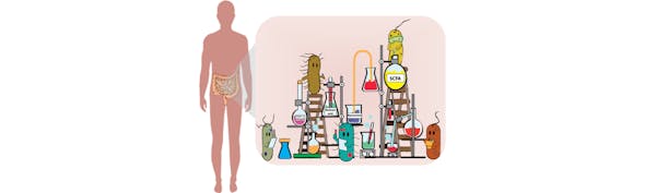 Emerging Science Of Microbiome