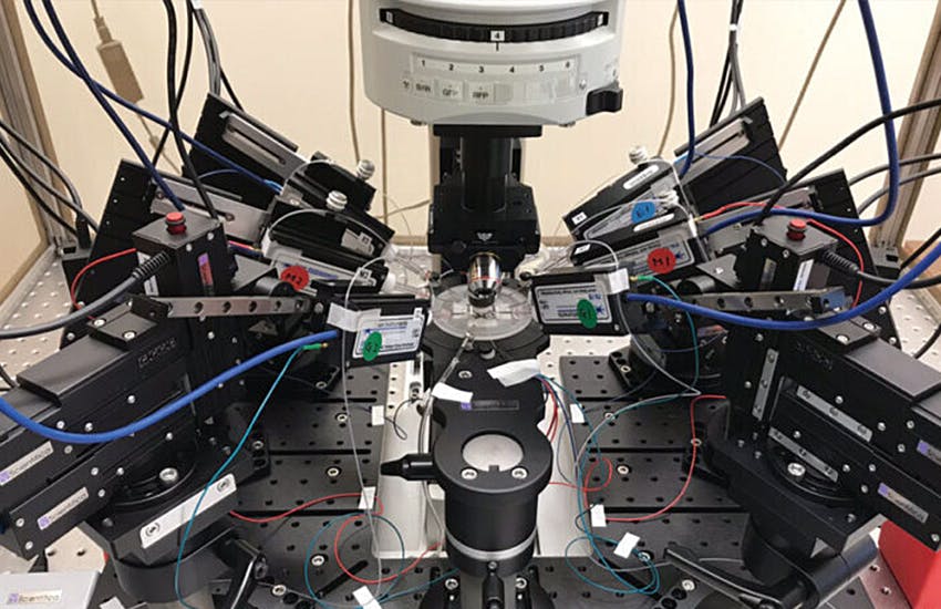 A multi-patch recording set up