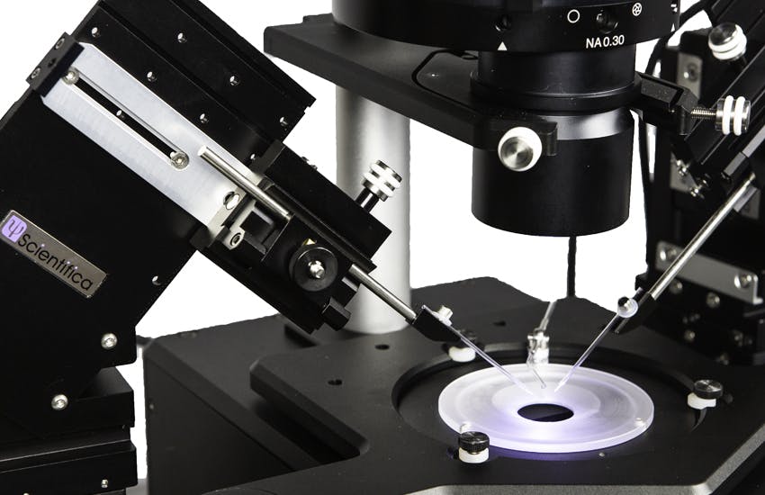Patch Star Instrument Application FAQs | Electrophysiology Research | Scientifica