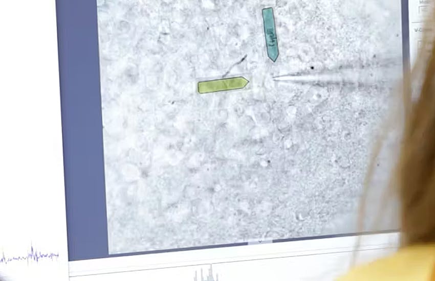 Patch clamp electrophysiology