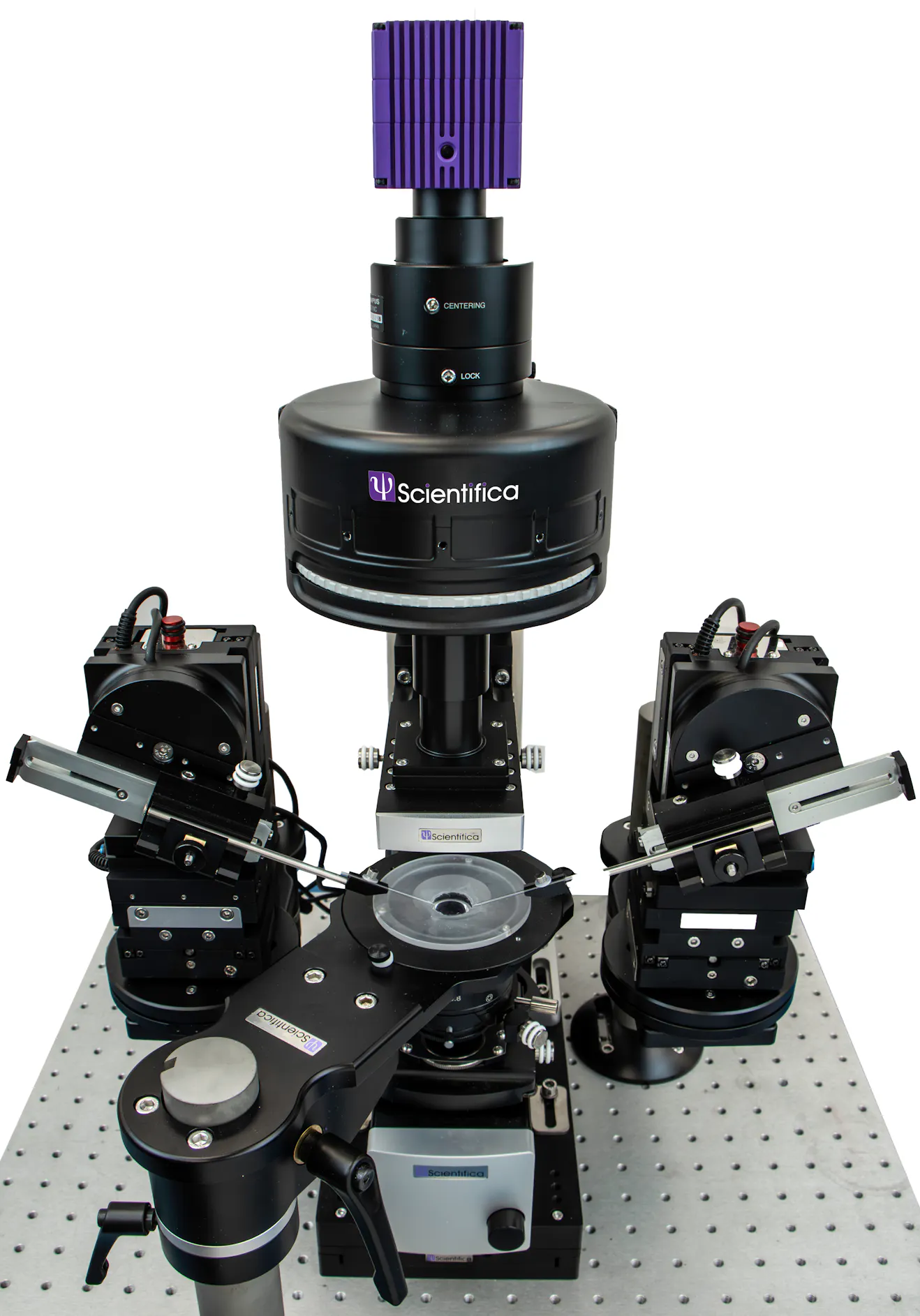 Cameras for electrophyisiology