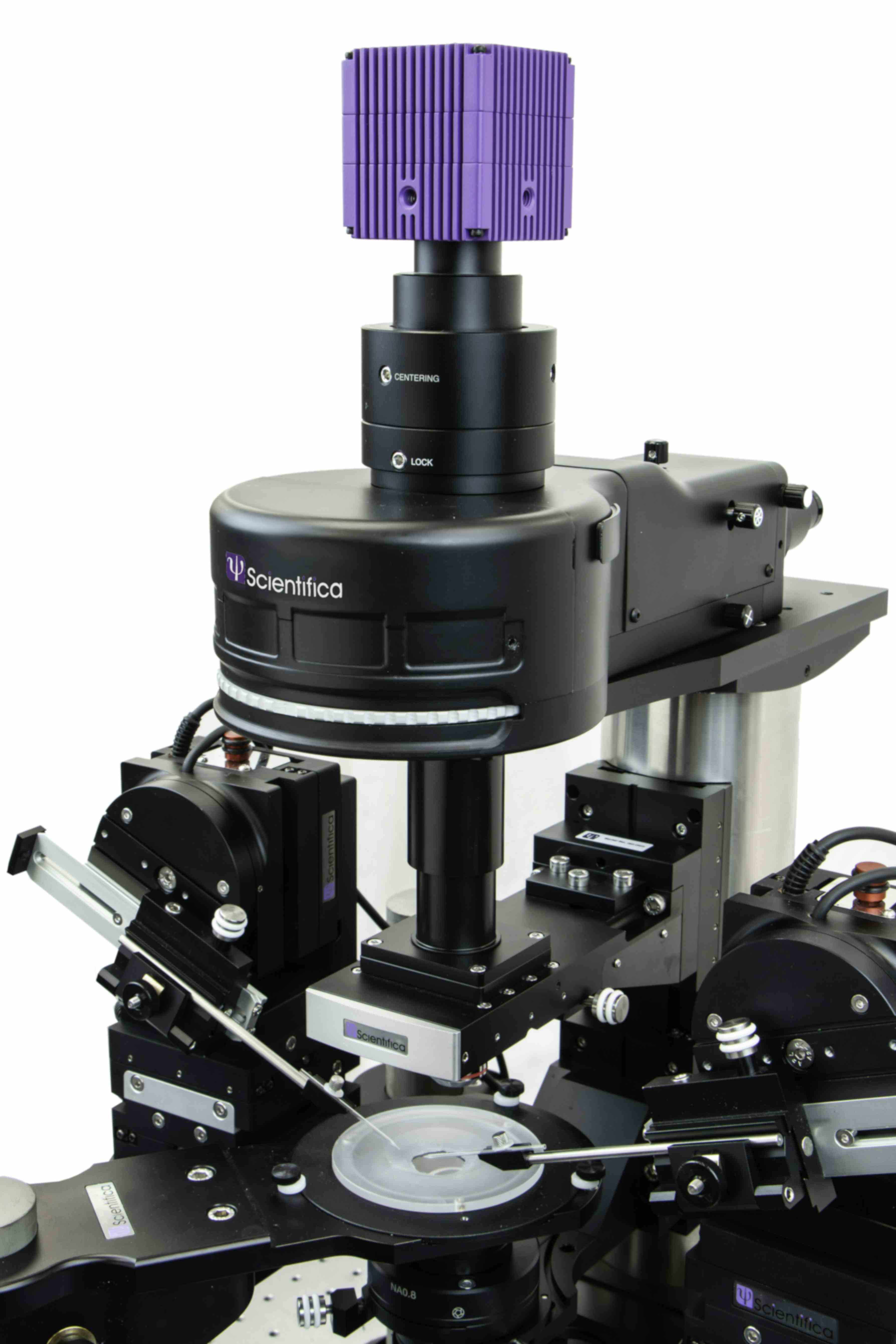 Scientifica SciCam+ camera on patch clamp rig