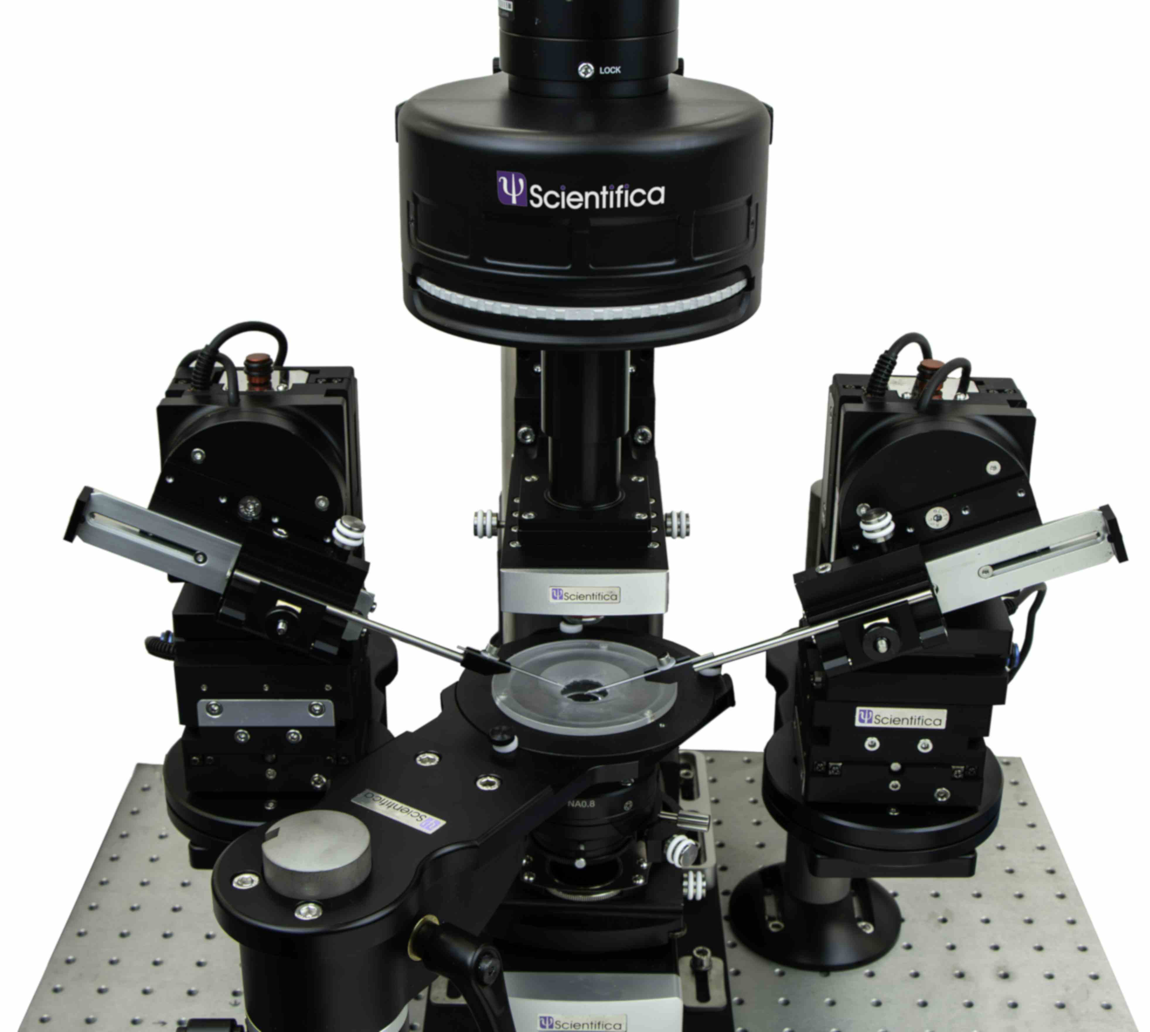 Epifluorescence illuminator on patch clamp electrophysiology system