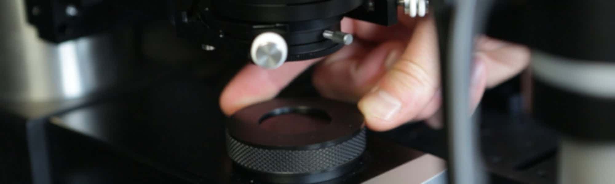 A guide to setting up Differential Interference Contrast on your upright microscope