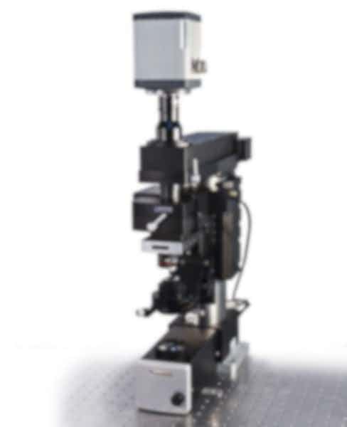 Scientifica Multiphoton Galvo Imaging System
