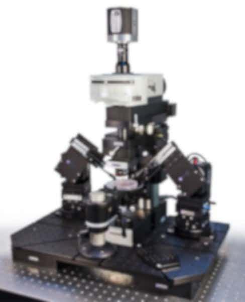 Scientifica Multiphoton Galvo Imaging System
