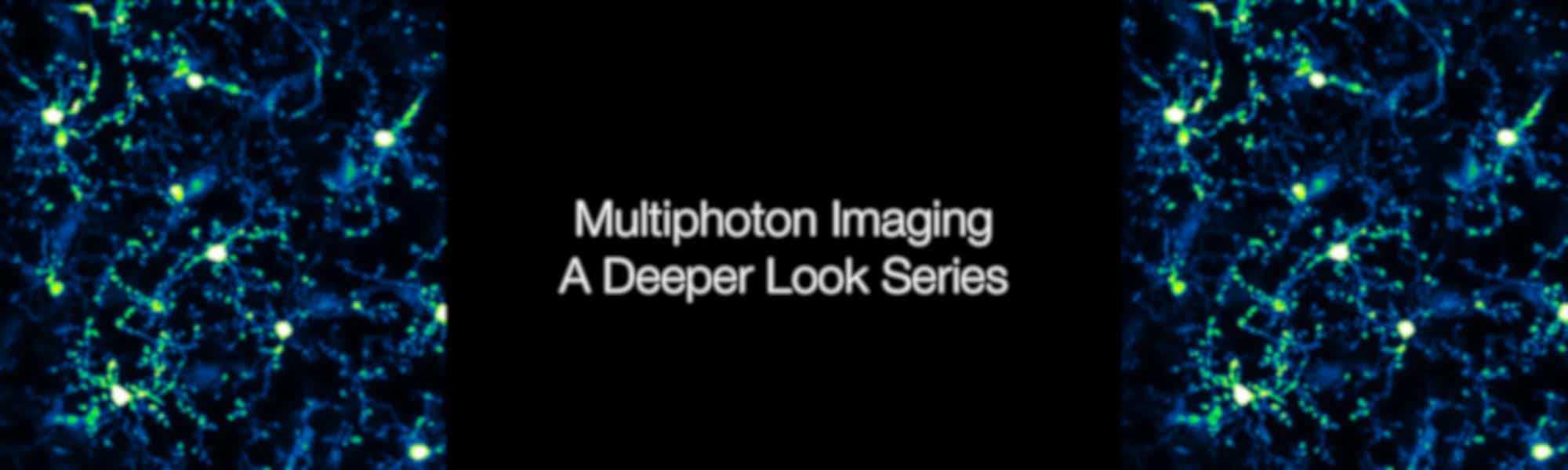 Multiphoton Imaging Series