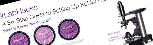 Banner Kohler Poster