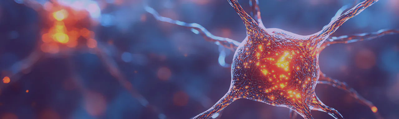 Neural Representations of Social Homeostasis - Neureka Blog