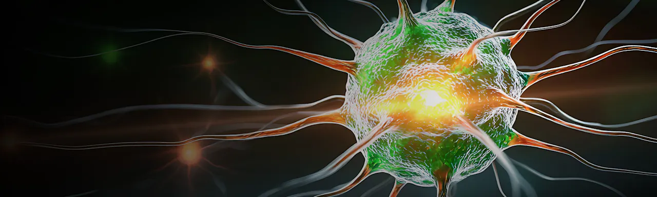 Blog: Understanding brain development and disease: from embryos to organoids