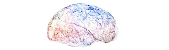 October Top Neuroscience Stories