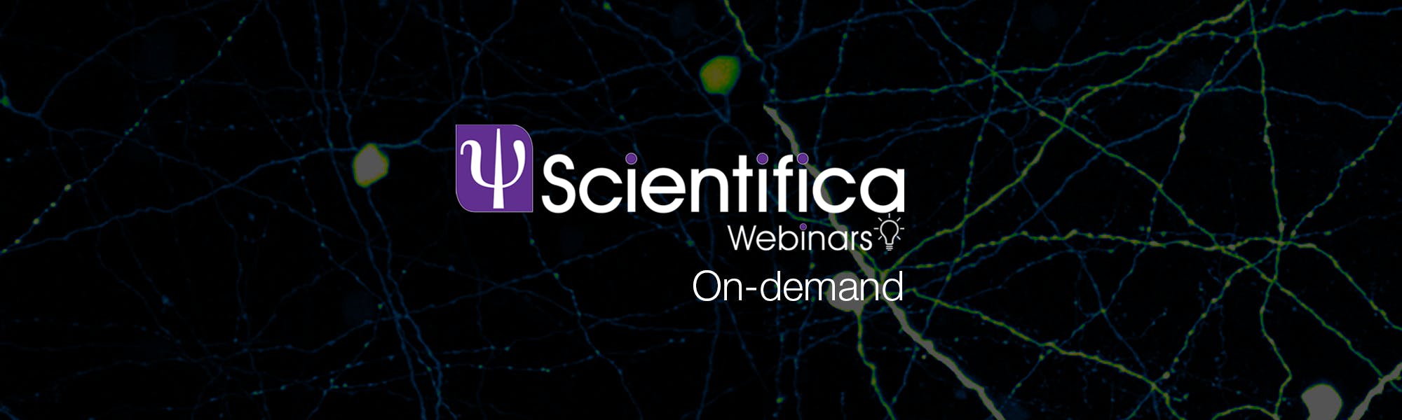 Introduction to multicell patch clamp electrophysiology recordings