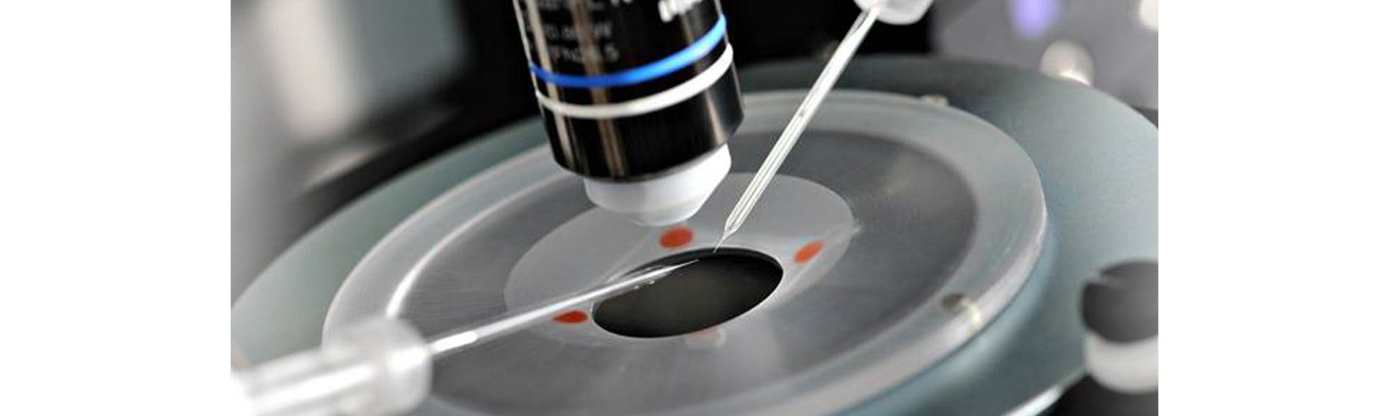 Patch clamp electrophysiology
