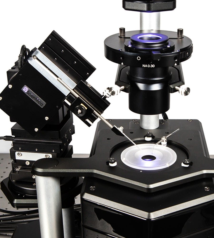 scientifica-patchscope-pro-1000