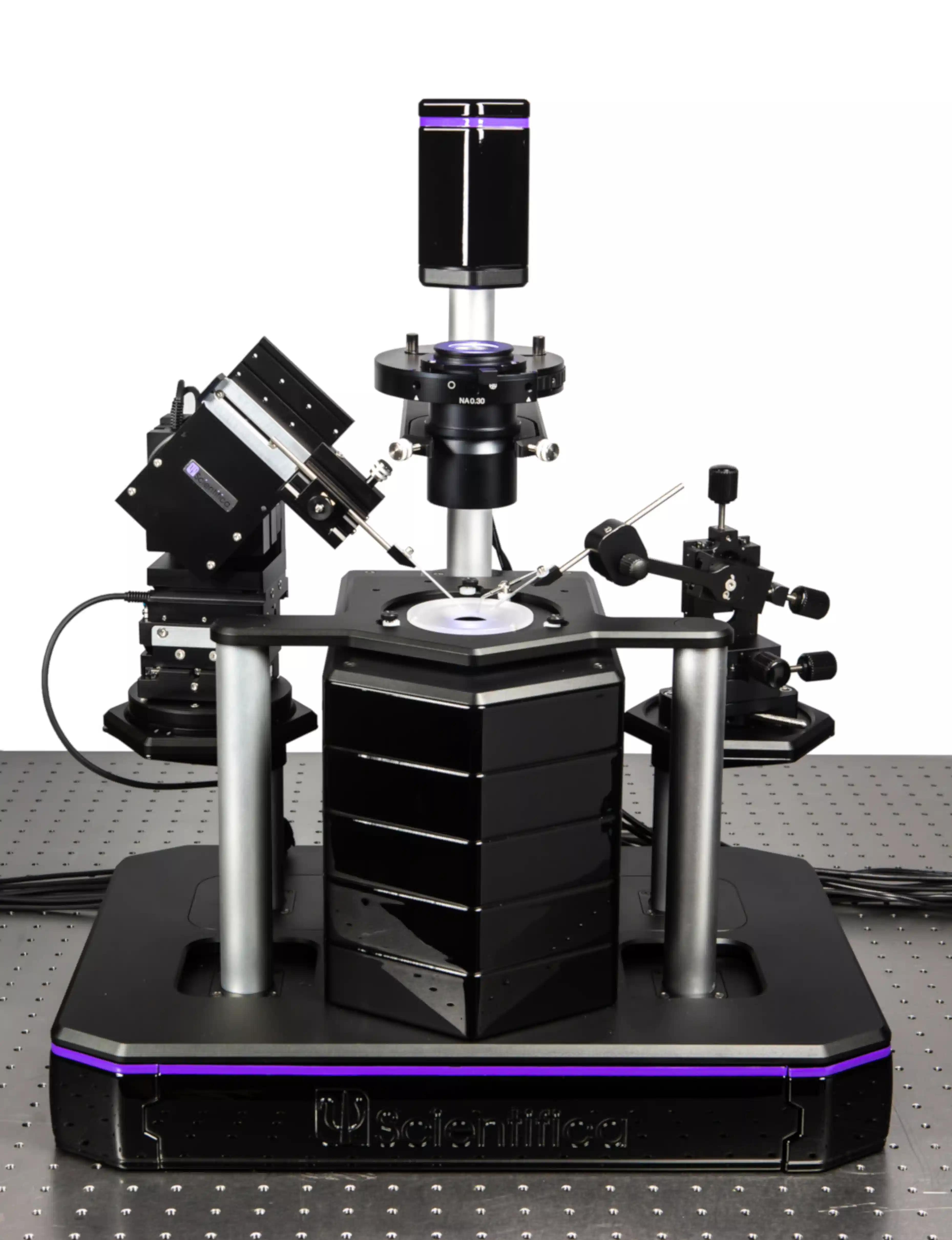 Patch Rig Scientifica PatchScope Pro 2000