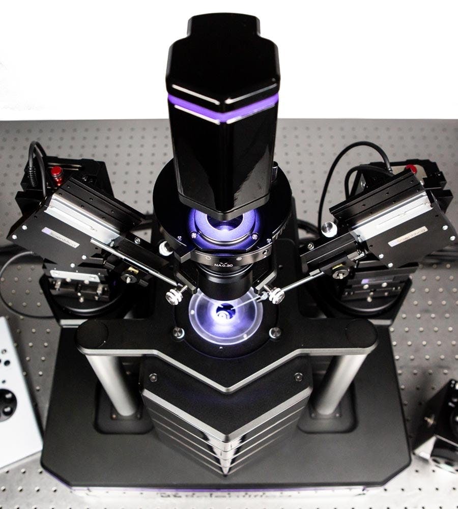 The perfect hands-free patch clamp rig for pharmacological and network studies