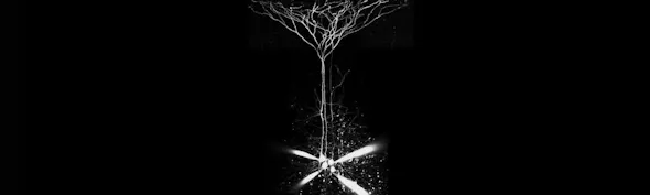 Patch Star Research 2025