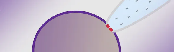 Perforated patch clamp banner