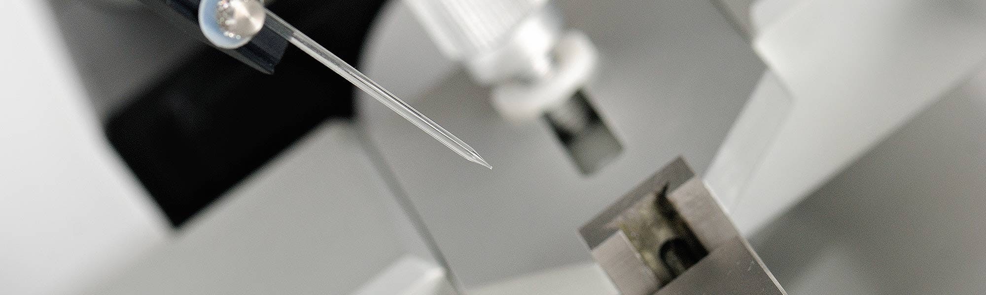 Viral Injection | Scientifica