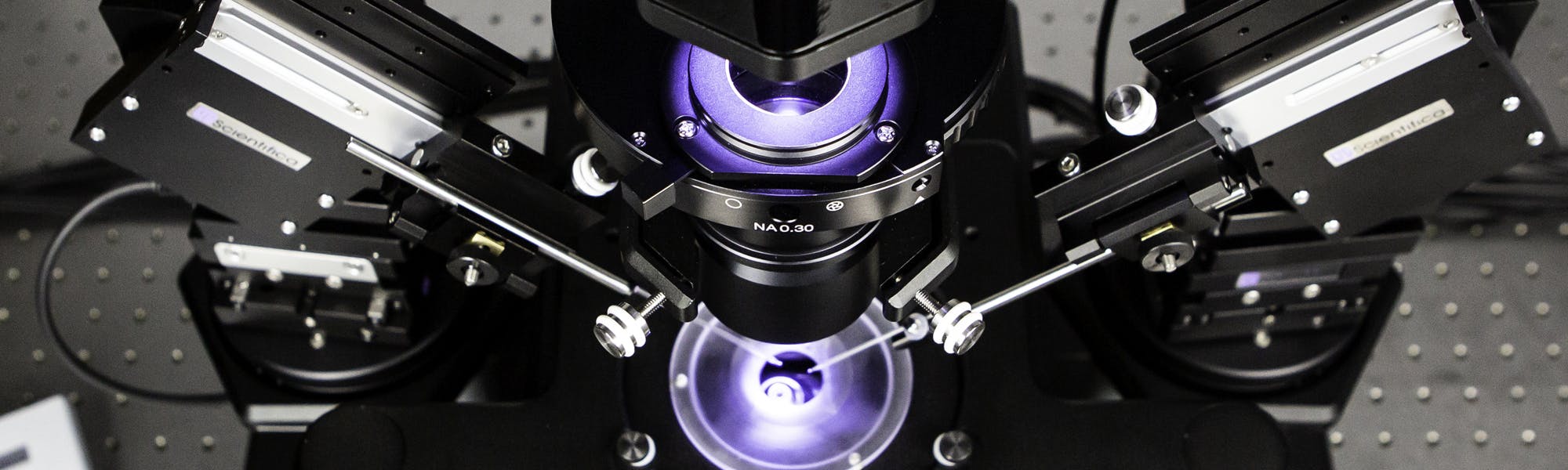 Inverted microscope for patch clamping in cultured cells