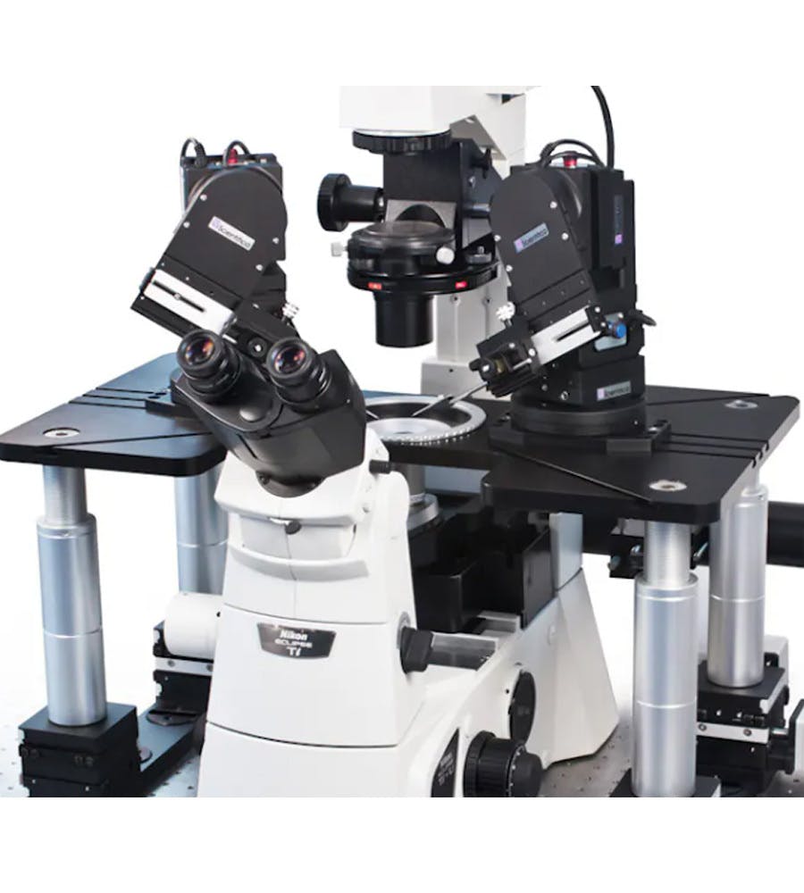 Scientifica Inverted Motorised Movable Top Plate (IMMTP)