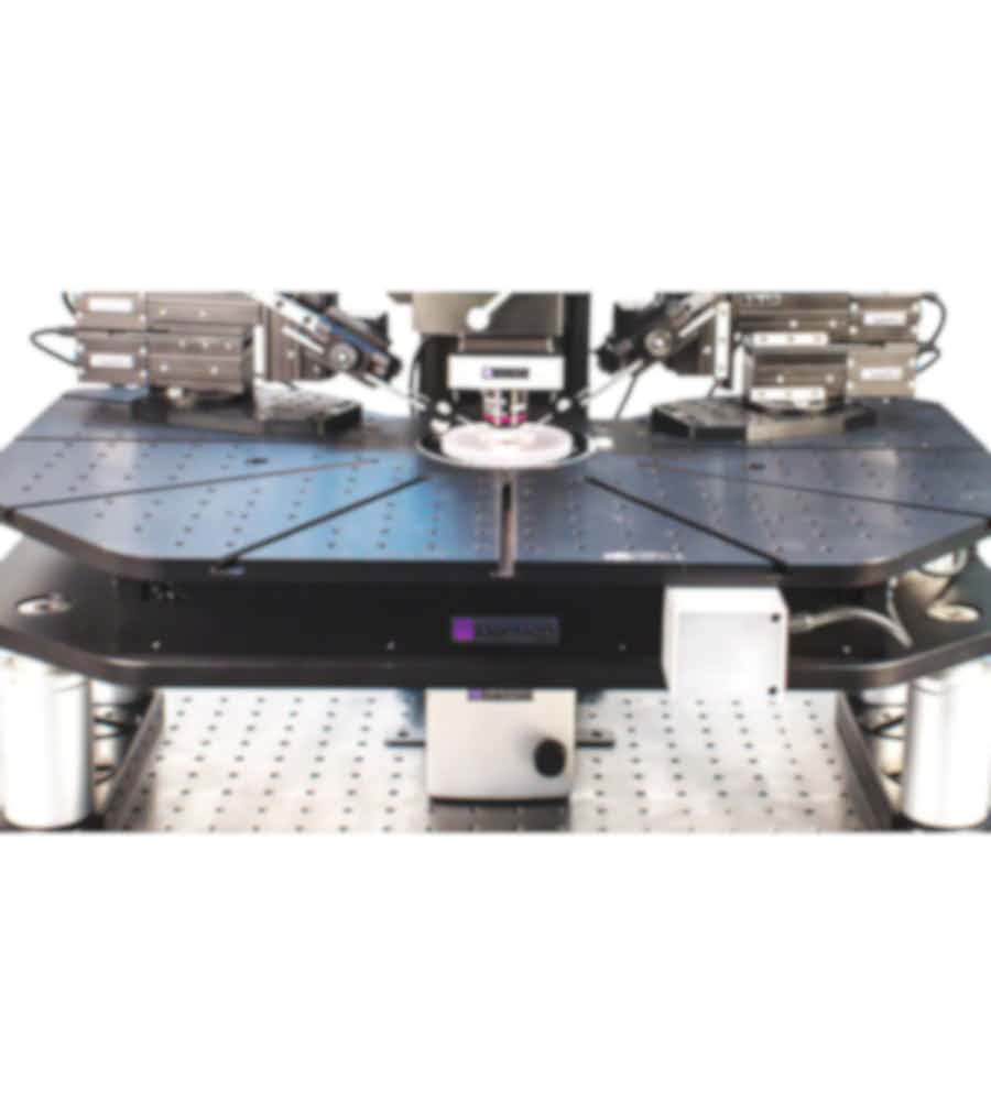 Scientifica Motorised Movable Top Plate (MMTP)