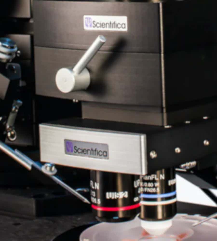 Scientifica Multiphoton Detection Unit (MDU)