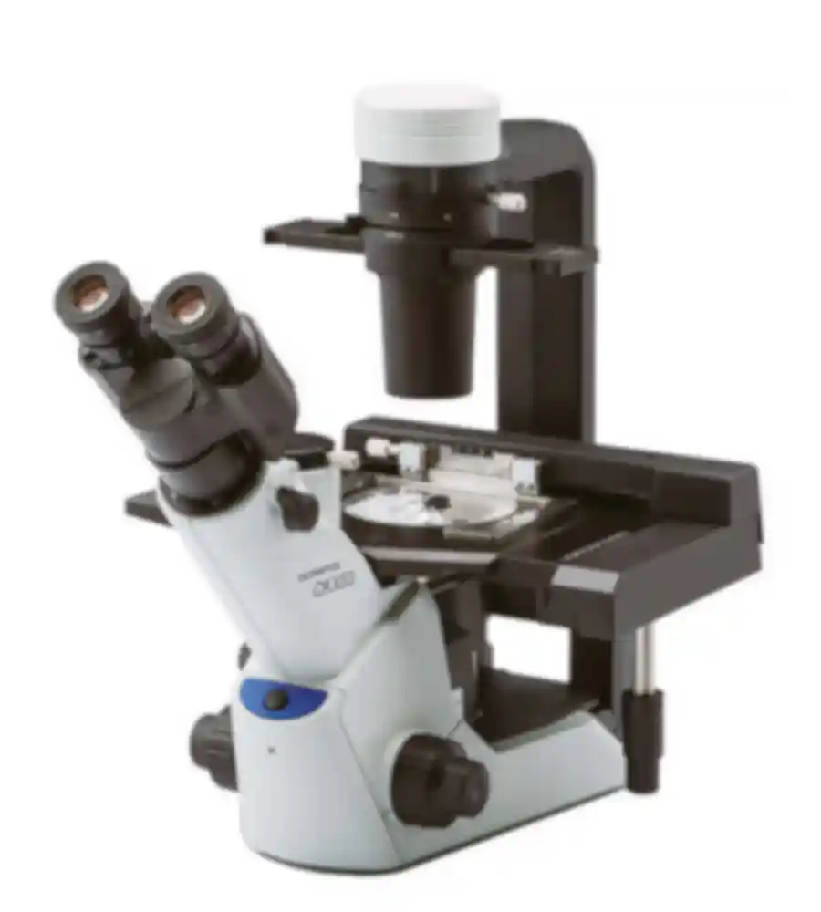Olympus IX73 inverted microscope