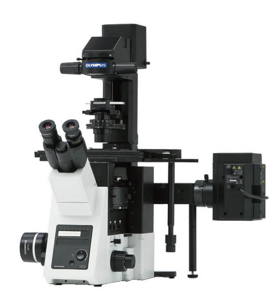 Olympus IX73 inverted microscope | Scientifica