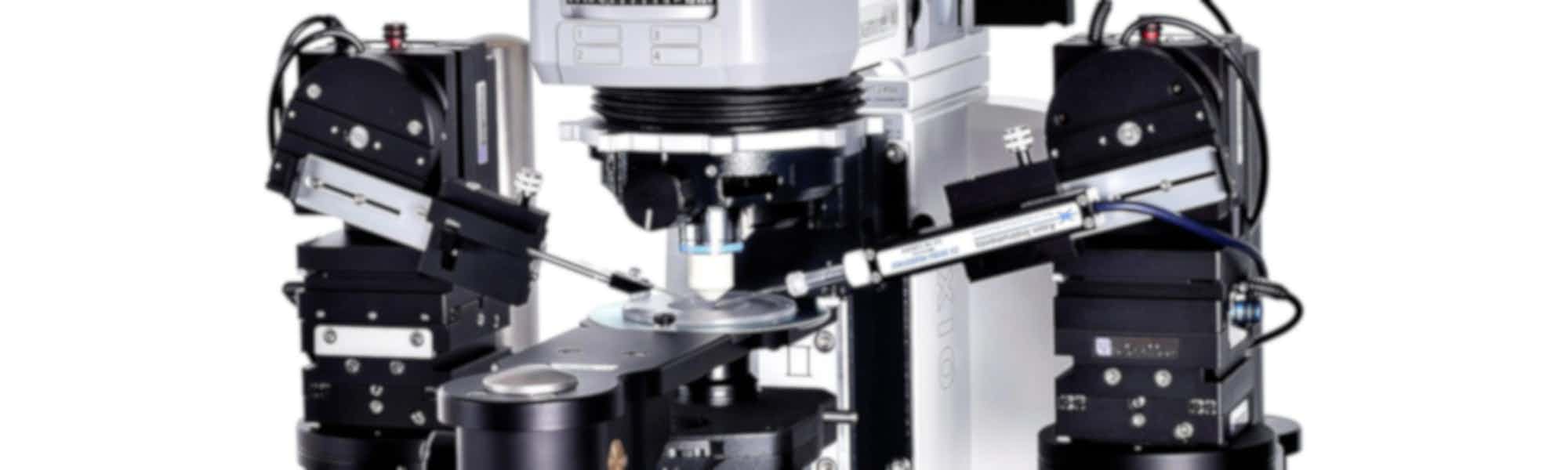 Scientifica's range of tools and equipment for confocal microscopy.