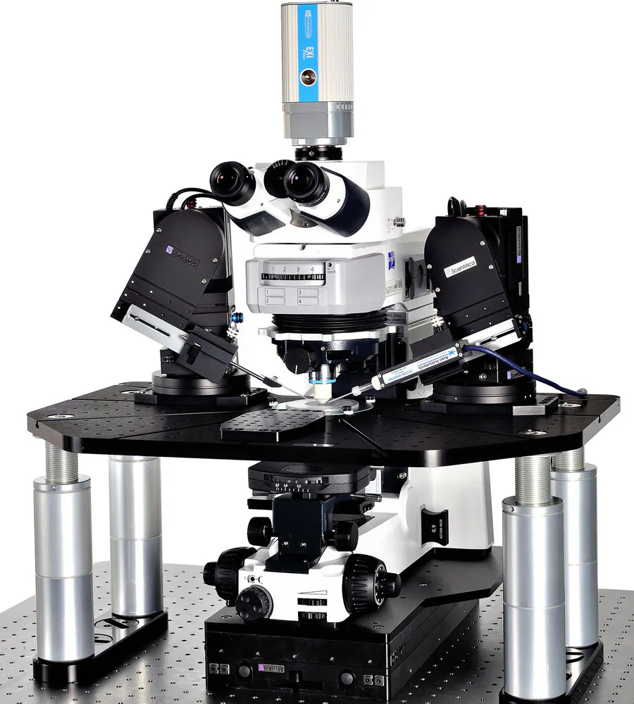 Scientifica Patch Pro 2000 Electrophysiology Rig | Scientifica