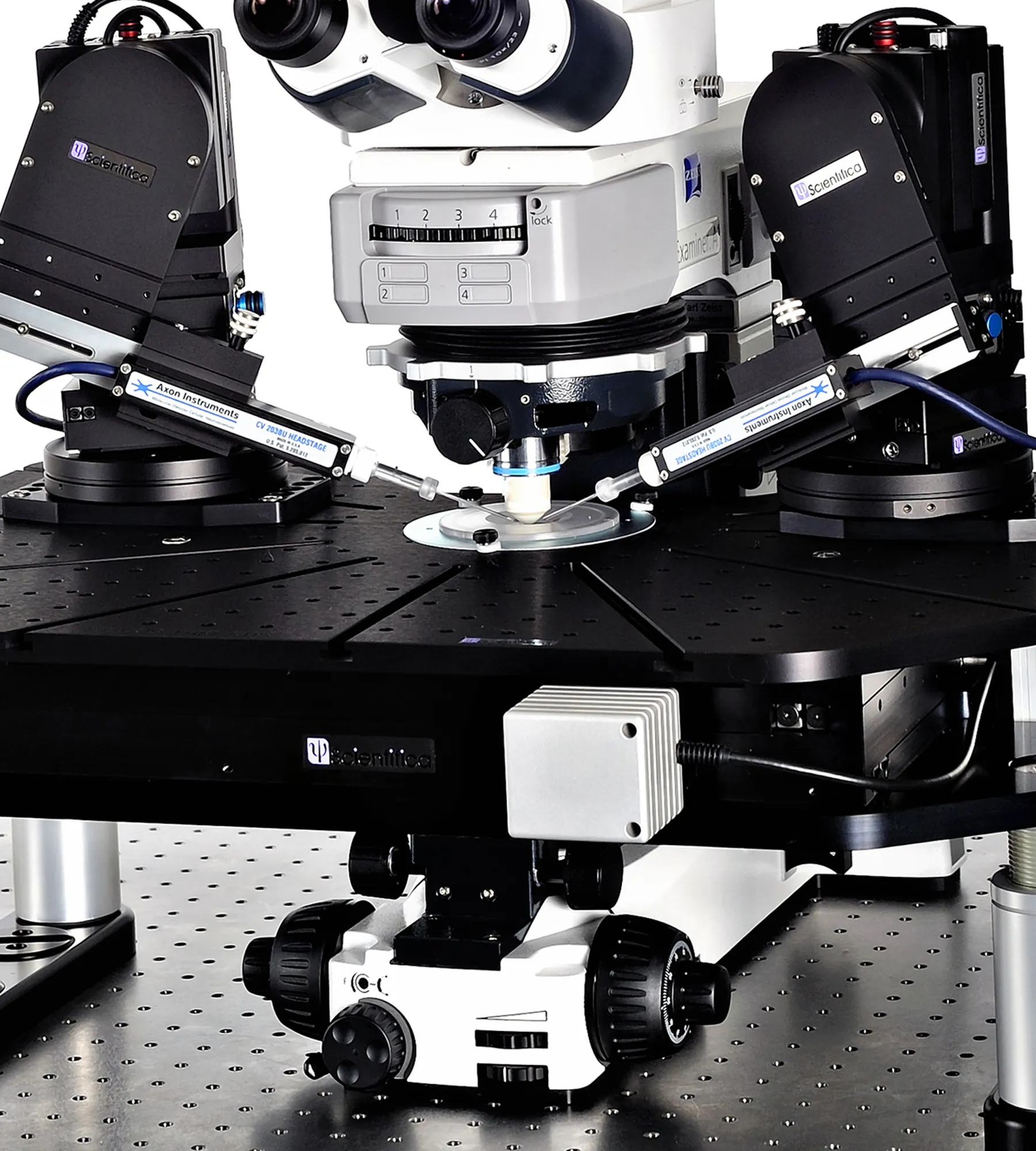 Scientifica Patch Pro 3000 electrophysiology rigs