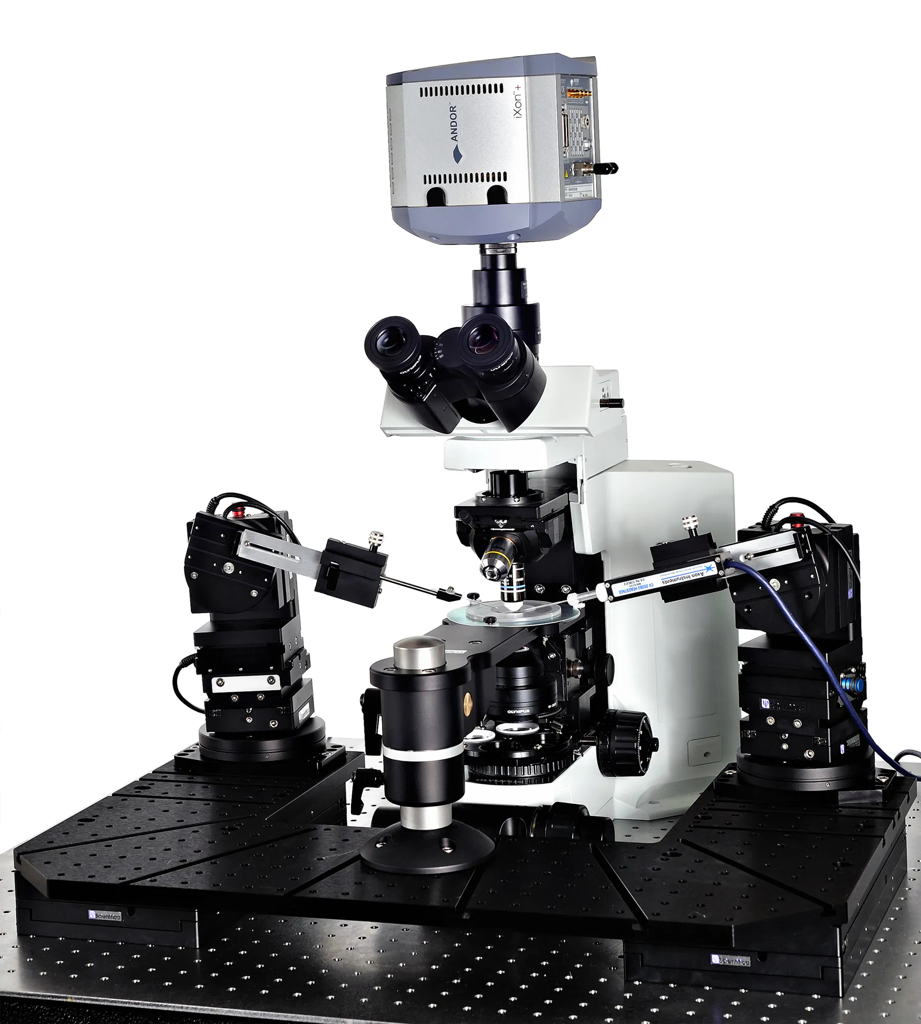 Scientifica Patch Pro 6000