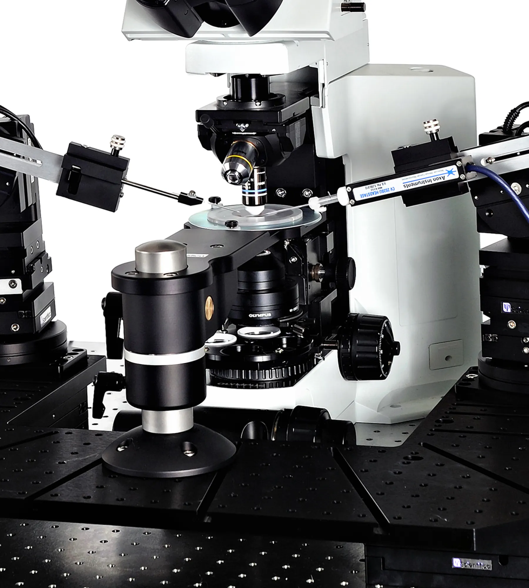 Scientifica Patch Pro 6000 electrophysiology rig