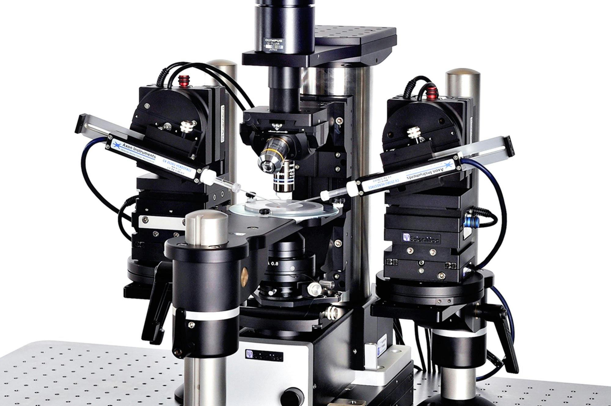 Complete electrophysiology rig for patch clamp recordings.