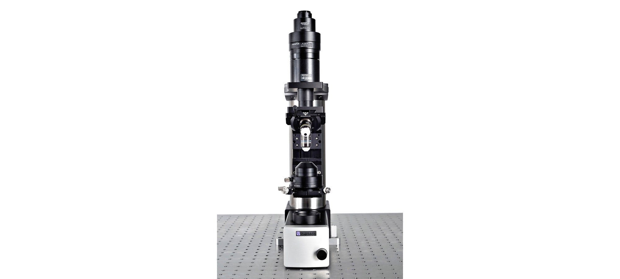Upright microscope