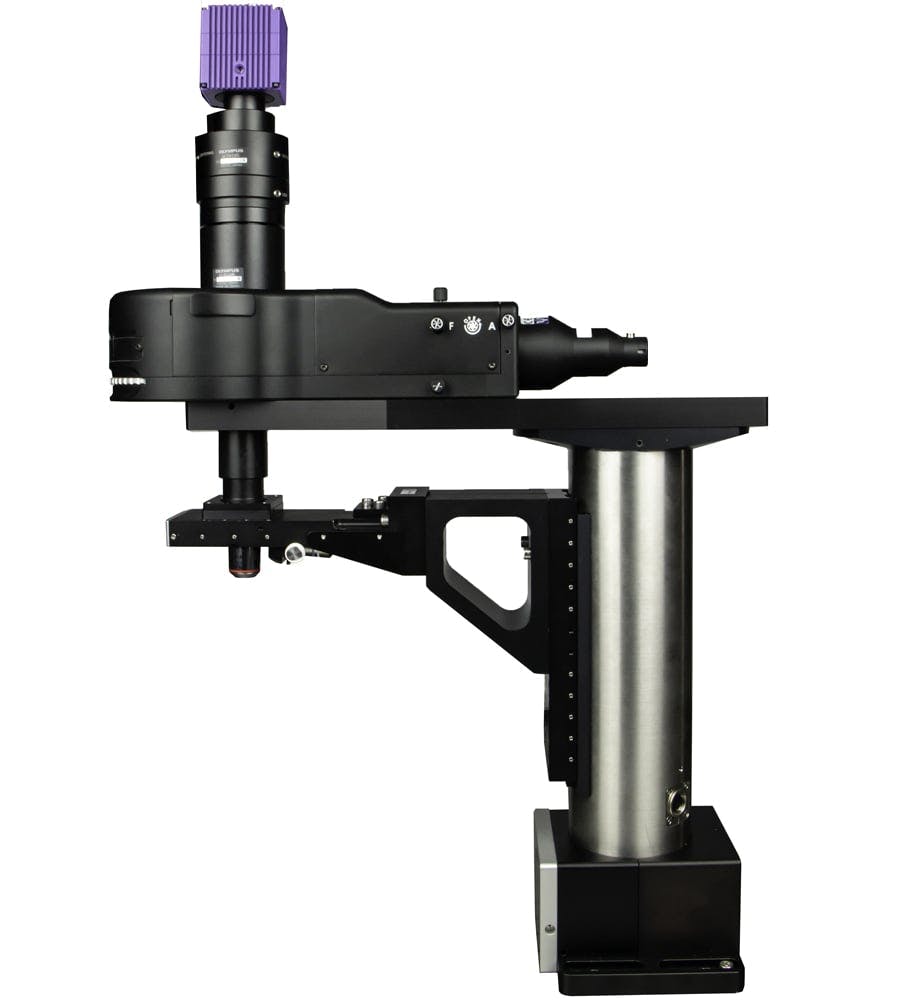 in vivo microscope for electrophysiology and behavioural studies