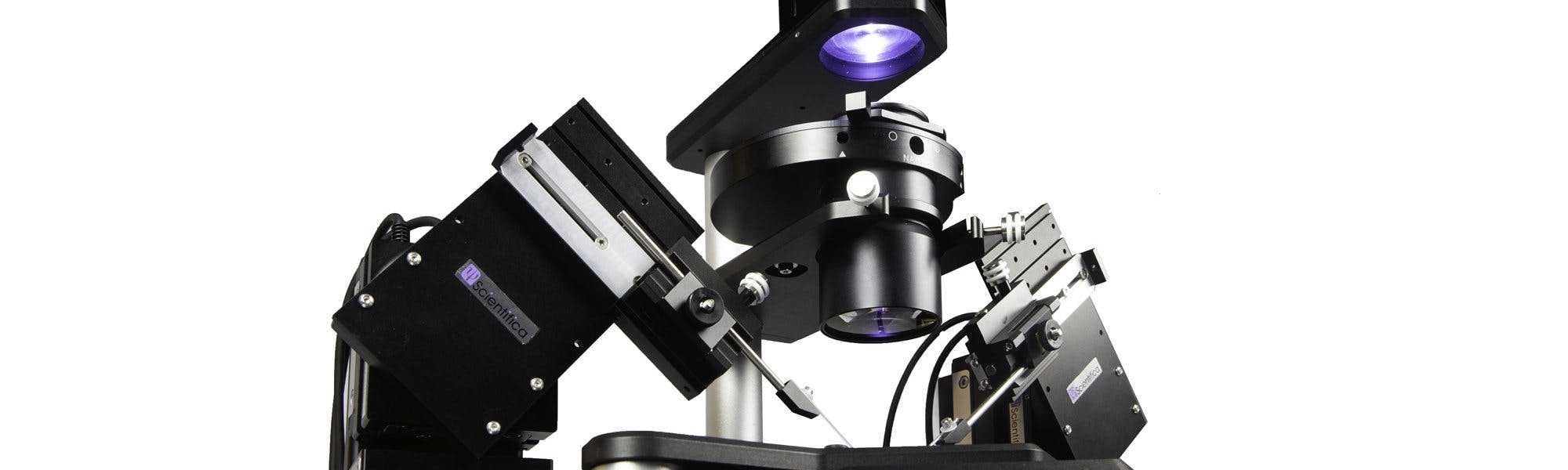 Scientifica's range of tools and equipment for cultured cell imaging.